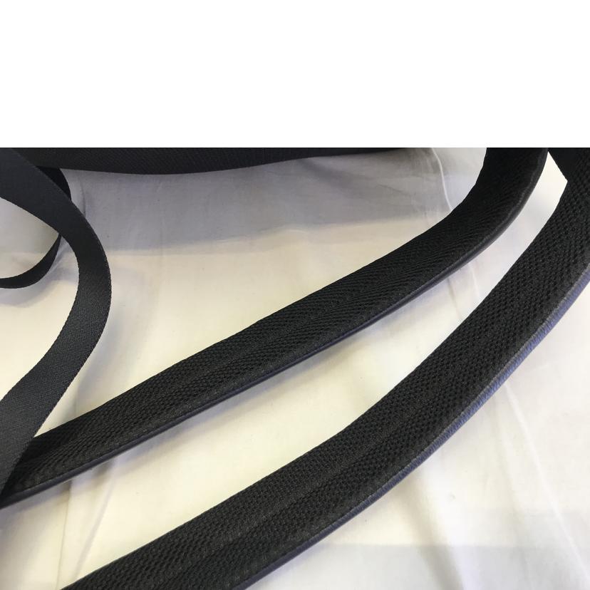 COACH コーチ/チャールズカーフ パックバック/F54135//J16**/Bランク/51