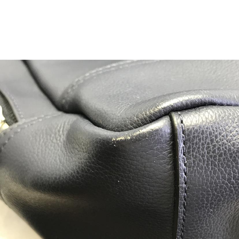 COACH コーチ/チャールズカーフ パックバック/F54135//J16**/Bランク/51