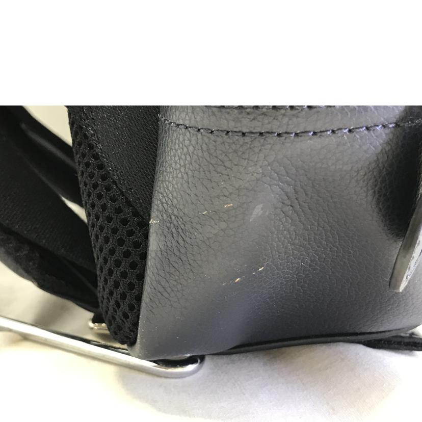 COACH コーチ/チャールズカーフ パックバック/F54135//J16**/Bランク/51