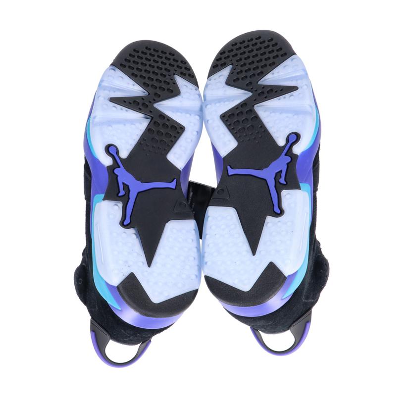 NIKE ナイキ/AIR JORDAN 6 RETRO/CT8529-004//Aランク/05