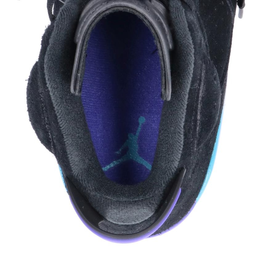 NIKE ナイキ/AIR JORDAN 6 RETRO/CT8529-004//Aランク/05