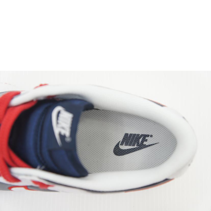 NIKE NIKE/DUNK LOW PRM/DZ2780-100//00196608076780/ABランク/85