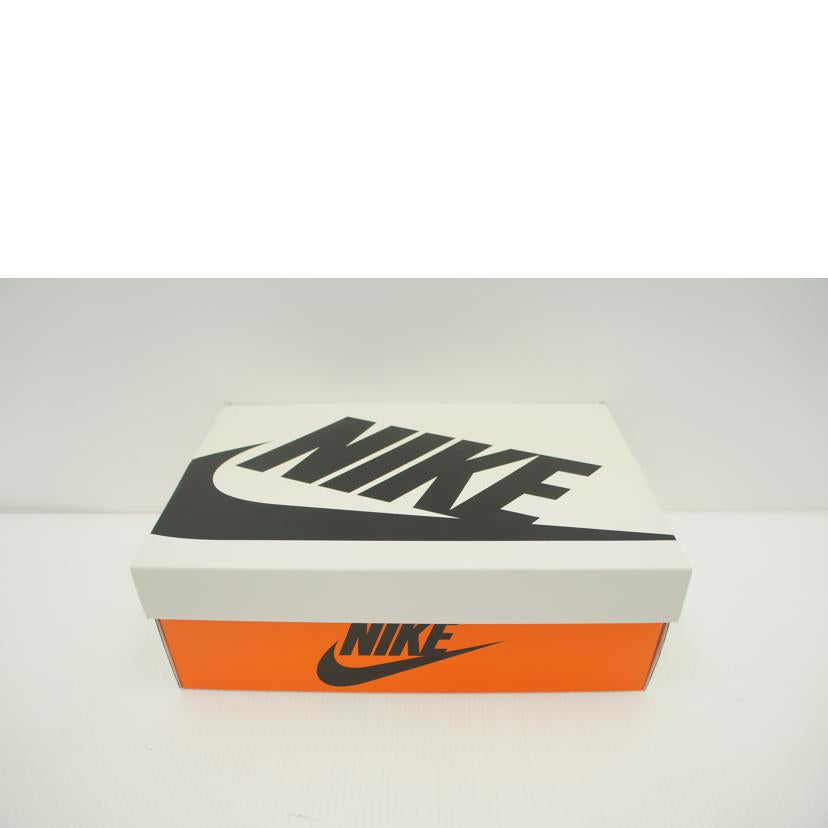 NIKE NIKE/DUNK LOW PRM/DZ2780-100//00196608076780/ABランク/85
