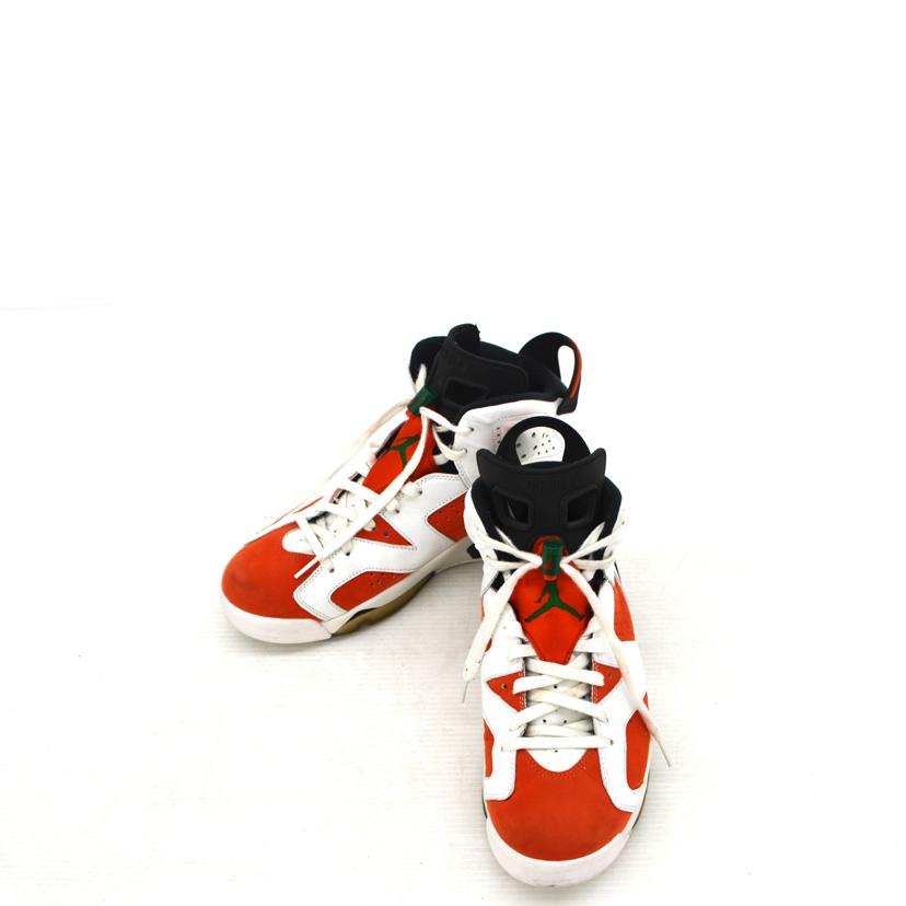 NIKE/エアジョーダン6レトロ/384664-145//ABランク/75