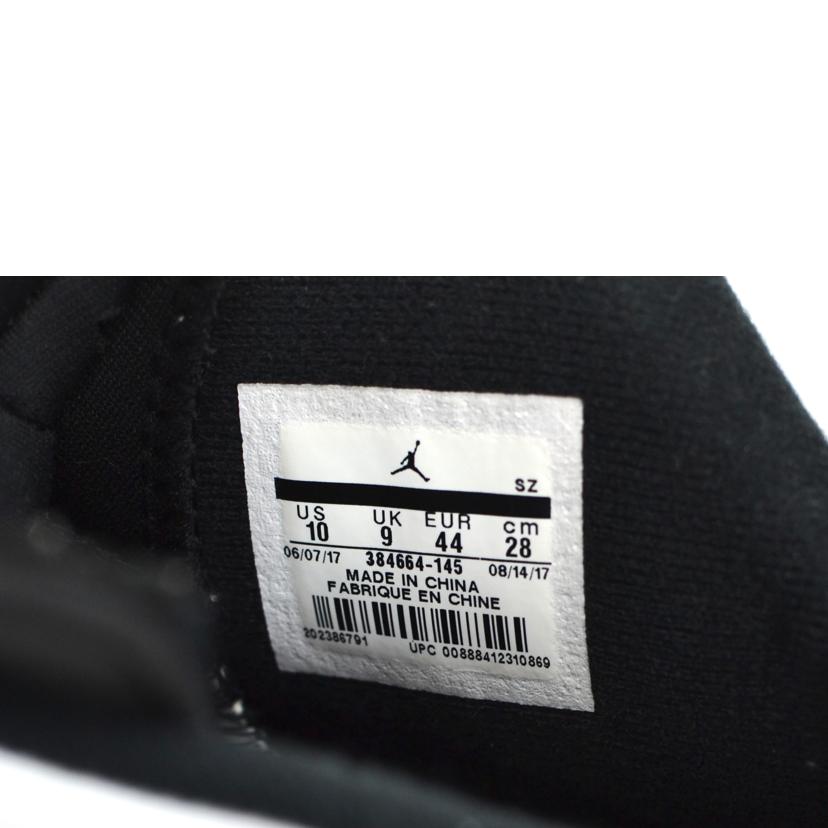 NIKE/エアジョーダン6レトロ/384664-145//ABランク/75