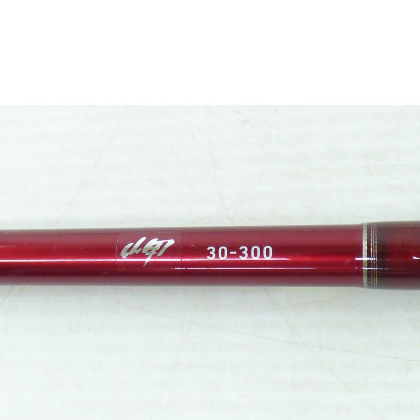 DAIWA ダイワ/岬 30-300/05295074//BCランク/64
