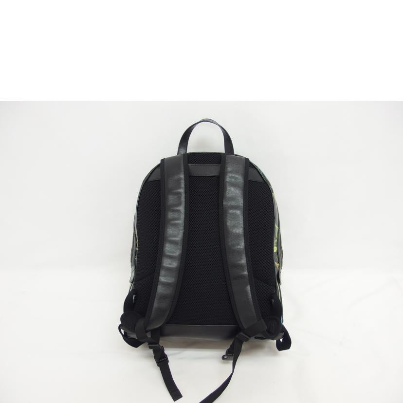 GUCCI グッチ/トロピカルバード/バックパック/406370//493***/Aランク/04