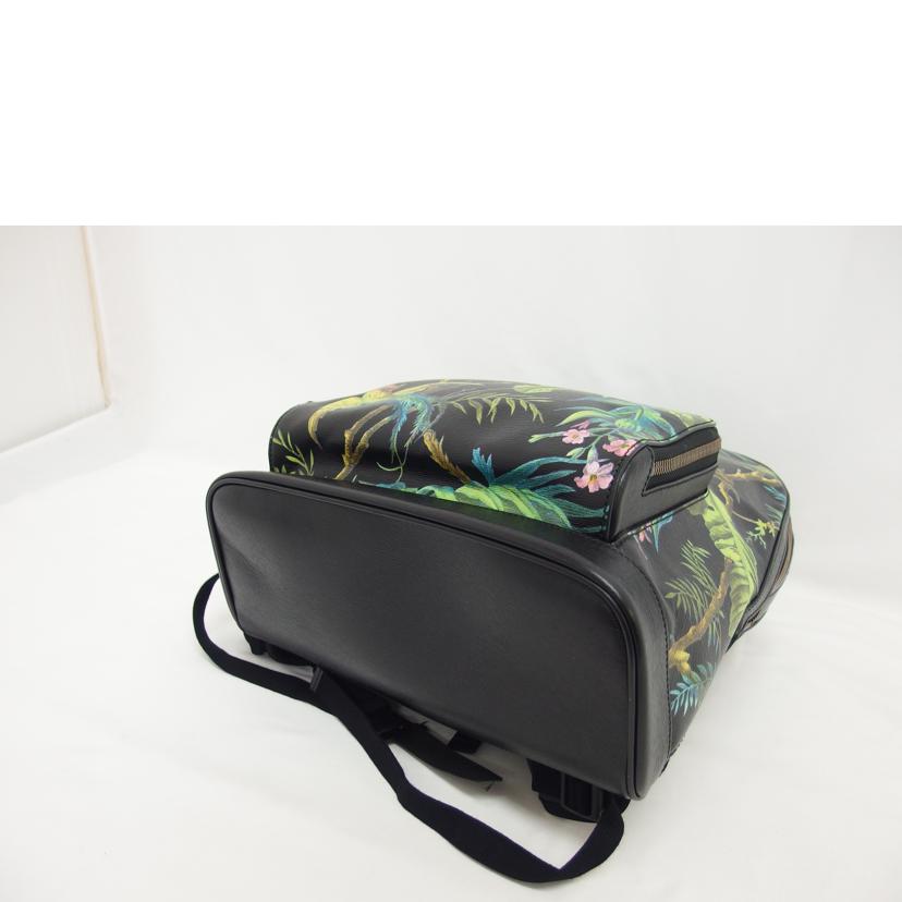 GUCCI グッチ/トロピカルバード/バックパック/406370//493***/Aランク/04
