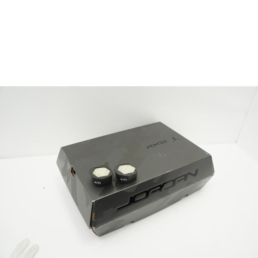 NIKE ナイキ/NIKE AIR JORDAN XX2//Bランク/19