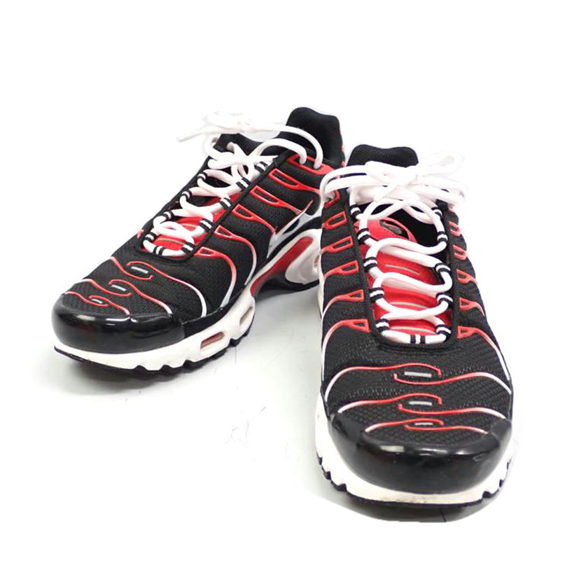 NIKE ナイキ/AIR MAX PLUS/DM0032-004//28.0cm/Bランク/62