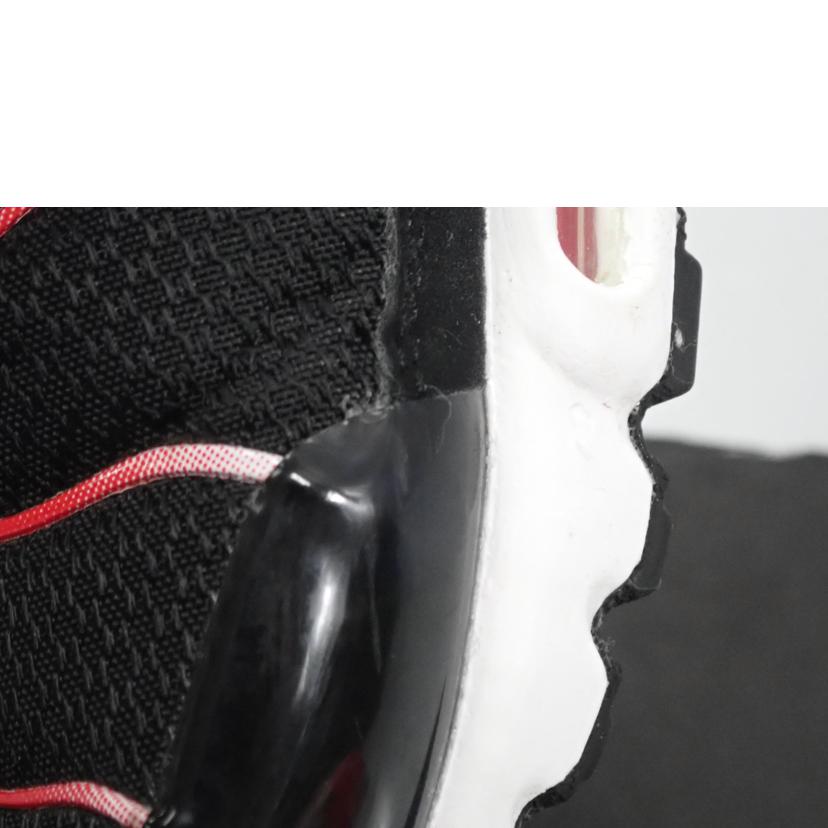 NIKE ナイキ/AIR MAX PLUS/DM0032-004//28.0cm/Bランク/62
