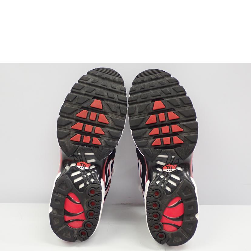 NIKE ナイキ/AIR MAX PLUS/DM0032-004//28.0cm/Bランク/62