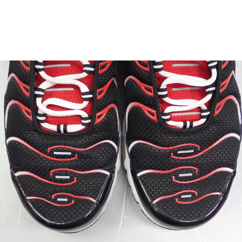 NIKE ナイキ/AIR MAX PLUS/DM0032-004//28.0cm/Bランク/62