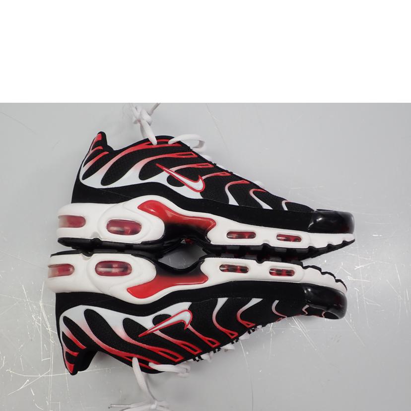 NIKE ナイキ/AIR MAX PLUS/DM0032-004//28.0cm/Bランク/62