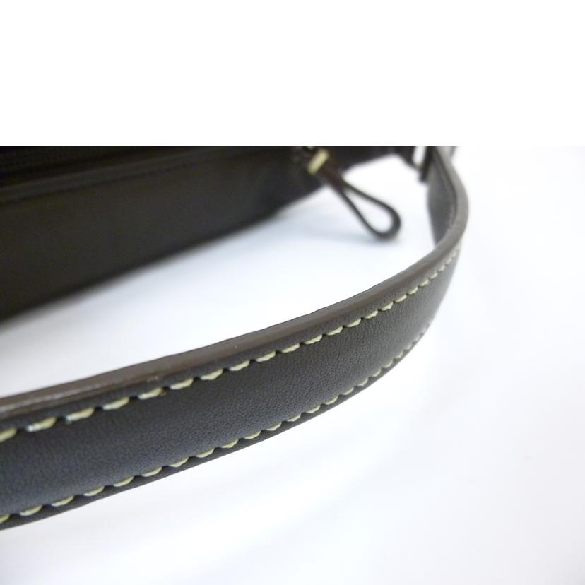 COACH コーチ/レザーポーチ//ABランク/88