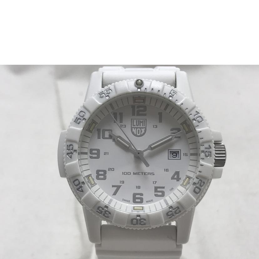 LUMINOX ルミノックス/LEATHERBACK SEA TURTLE GIANT 0320 SERIES/0320-1GBq //ABランク/51