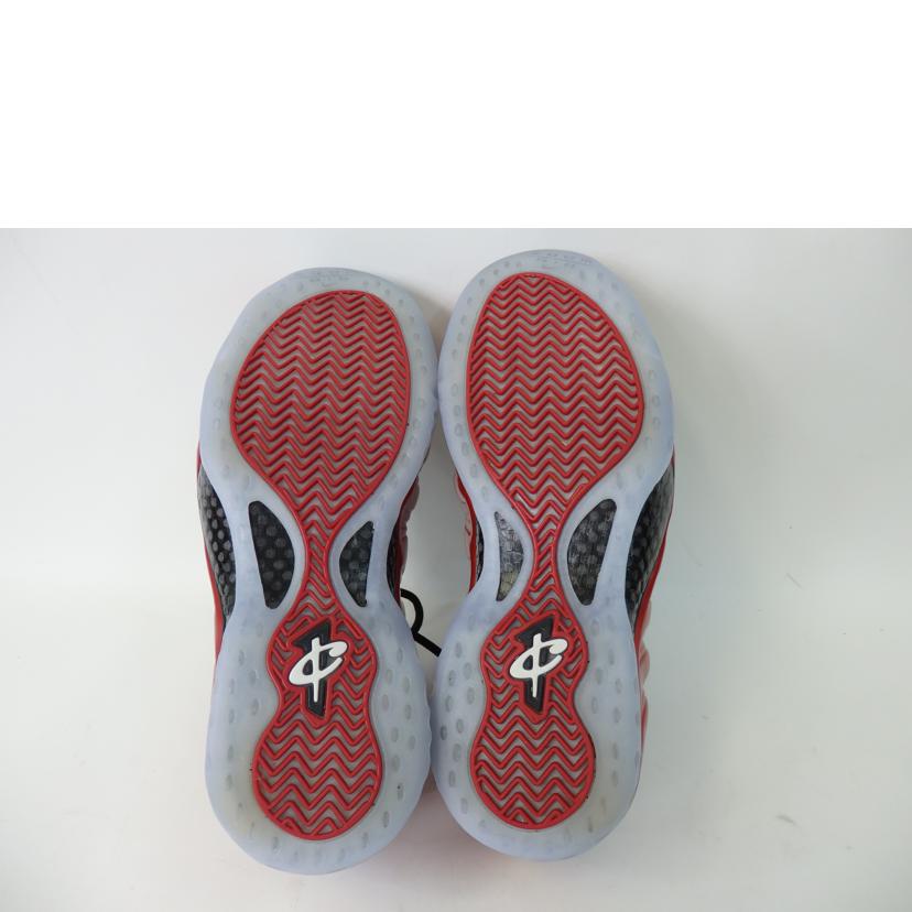 NIKE/AIR FOAMPOSITE ONE/DZ2545-600//ABランク/84