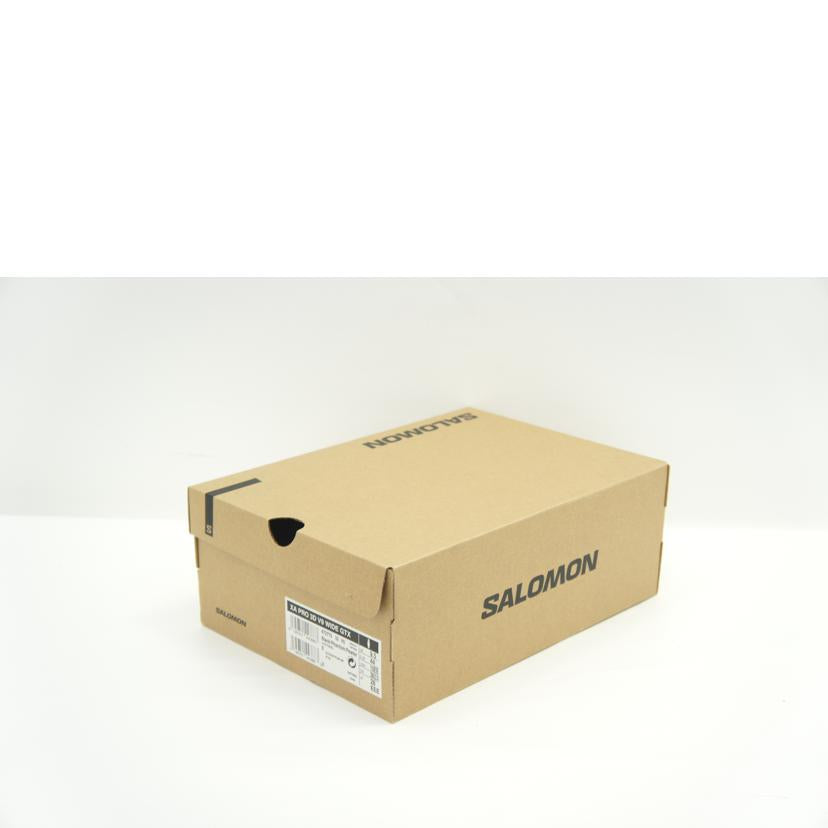 SALOMON サロモン/XA PRO 3D V9 WIDE GTX トレッキングシューズ/28.0cm/ブラック/472770//Sランク/01