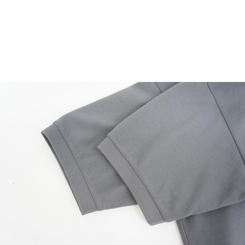 THE NORTH FACE ザ ノースフェイス/S/S AnyPart Polo/ショートスリーブエニーパートポロ/ポロシャツ/NT12637//サイズ S/Sランク/05