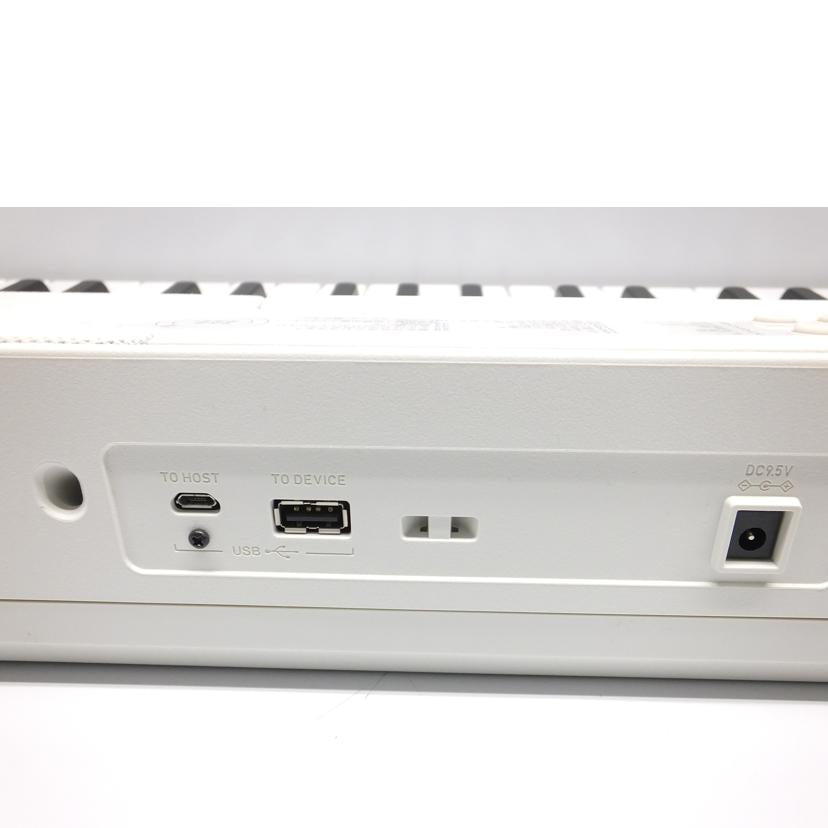 CASIO カシオ/光ナビゲーション/電子キーボード/LK-520//883BDC119010187AAA/Bランク/88