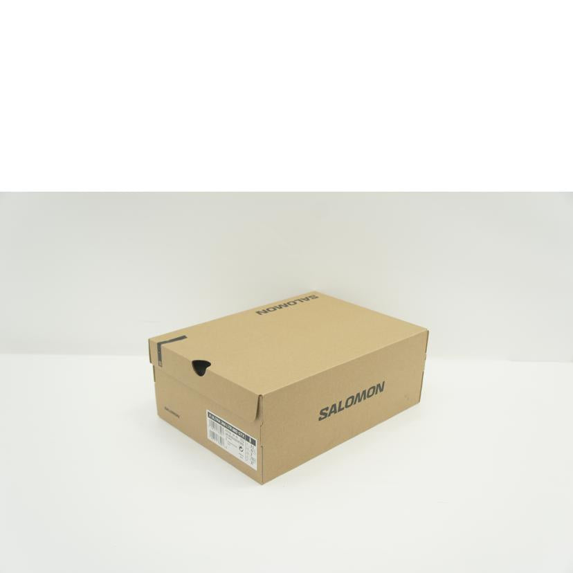 SALOMON サロモン/X ULTRA 360 LTR MID GTX トレッキングシューズ/27.0cm/ブラウン/475709//Sランク/01