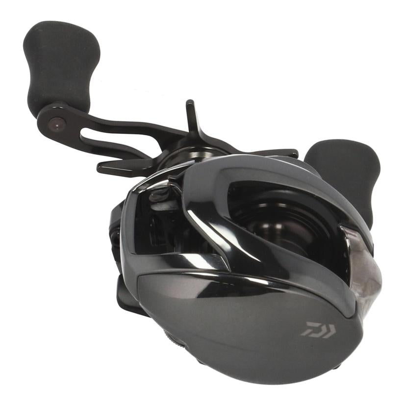 DAIWA ダイワ/ベイトリール/24スティーズ SV TW 100XH/24STEEZ SV TW 100XH//00630314/Aランク/62