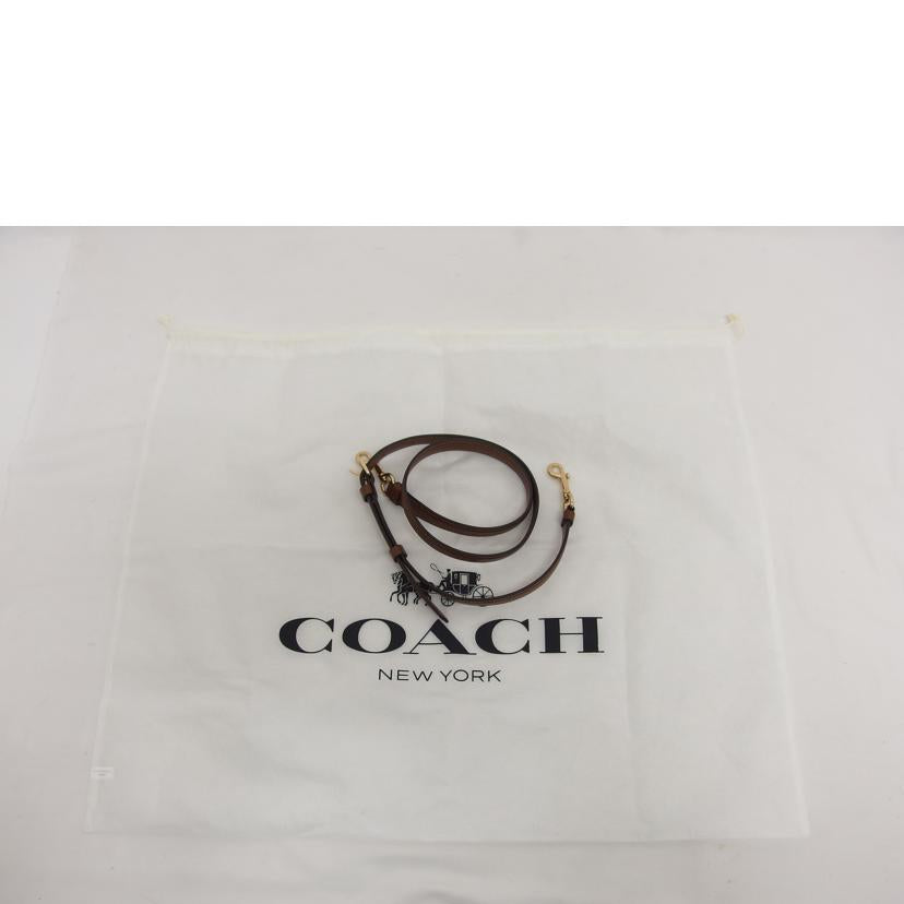 COACH コーチ/レーンキャリーオールカラーブロック/2WAYバッグ/C8210//H22**/Aランク/04