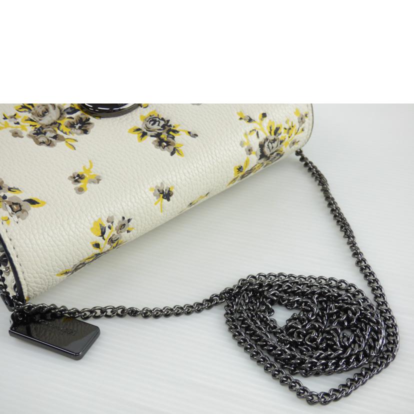 COACH コーチ/バワリークロスボディーポリッシュドペブルレザーウィズレブルチャーム/59491//C17**/ABランク/64