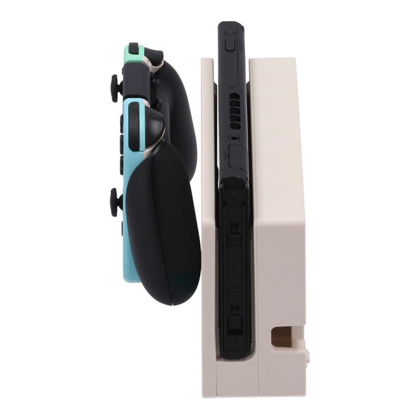 NINTENDO 任天堂 ニンテンドー /Nintendo Switch 本体 あつまれどうぶつの森/HAD-S-KEAGC//XKJ70049478634/Bランク/22