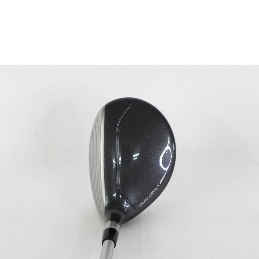 Mizuno ミズノ/SURE DD 2.0 MI マルチアイアン 6MI/EXSAR//ABランク/81