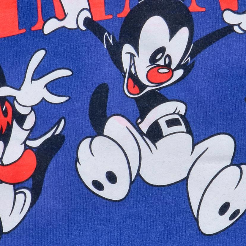 ANIMANIACS アニマニアックス/90'S/キャラクタースウェット/ANIMANIACS//ABランク/82