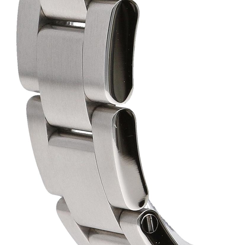 ROLEX ロレックス 腕時計 新品仕上済 ランダムシリアル 前期型 ブラックダイアル ステンレス メンズ 自動巻き/エクスプローラー1・ブラックアウト/ランダム番/214270//9M9*****/SAランク/19