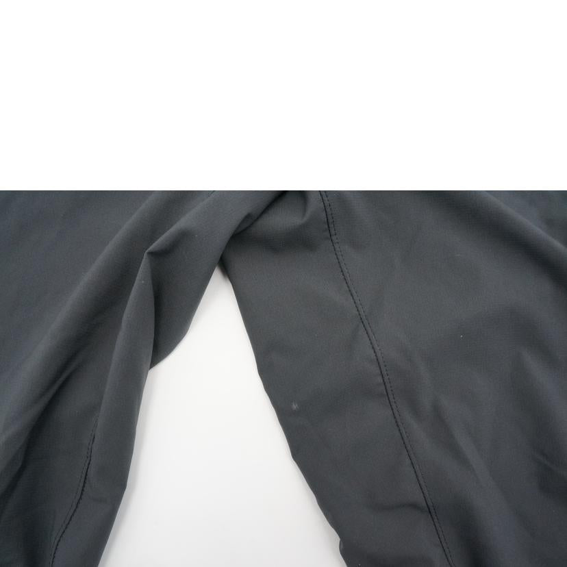 Patagonia パタゴニア/テルボンヌ・ジョガーズ/24540//Aランク/09