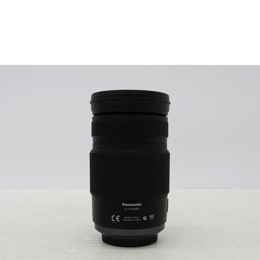 LUMIX ルミックス/交換レンズ/ G VARIO 100-300mm/ G VARIO 100-300mm//XT2FC001057/Bランク/75