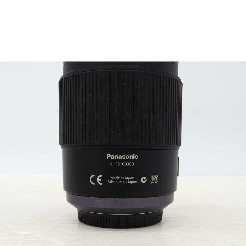 LUMIX ルミックス/交換レンズ/ G VARIO 100-300mm/ G VARIO 100-300mm//XT2FC001057/Bランク/75