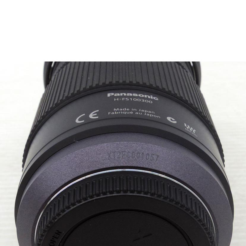 LUMIX ルミックス/交換レンズ/ G VARIO 100-300mm/ G VARIO 100-300mm//XT2FC001057/Bランク/75