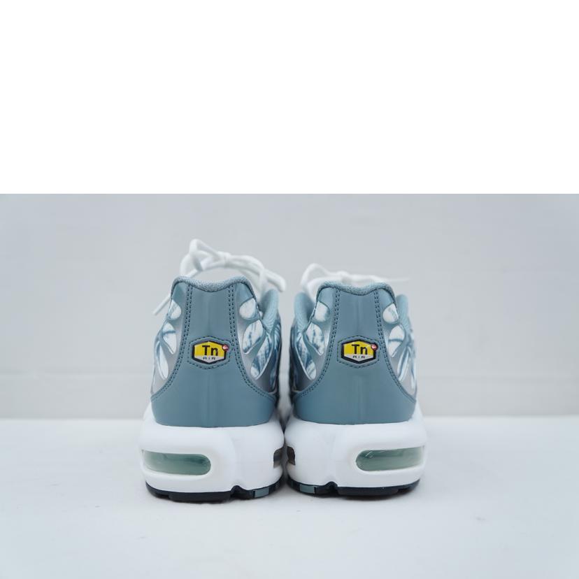 NIKE ナイキ/NIKE AIR MAX PLUS 29.0/RV0394-300//Aランク/67
