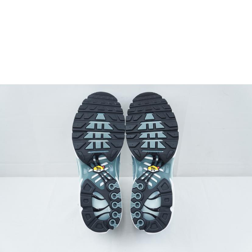NIKE ナイキ/NIKE AIR MAX PLUS 29.0/RV0394-300//Aランク/67