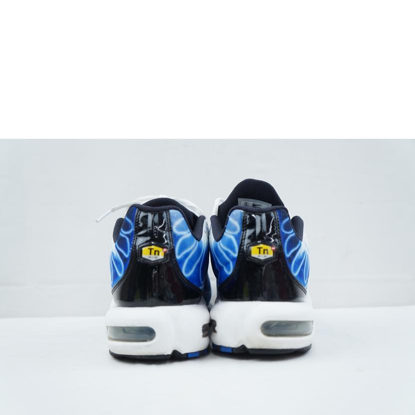 NIKE ナイキ/NIKE AIR MAX PLUS OG 29.0/DZ3531-400//Aランク/67
