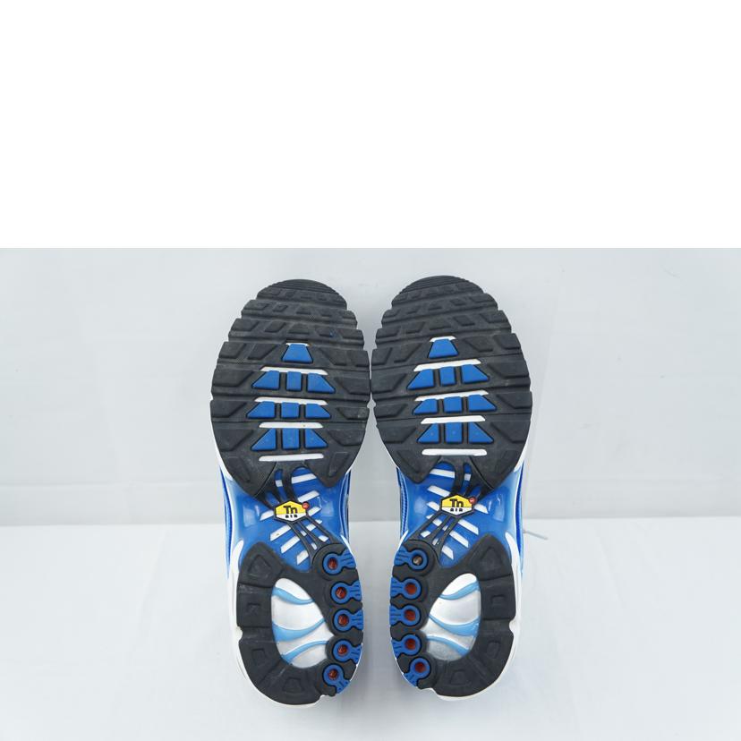 NIKE ナイキ/NIKE AIR MAX PLUS OG 29.0/DZ3531-400//Aランク/67