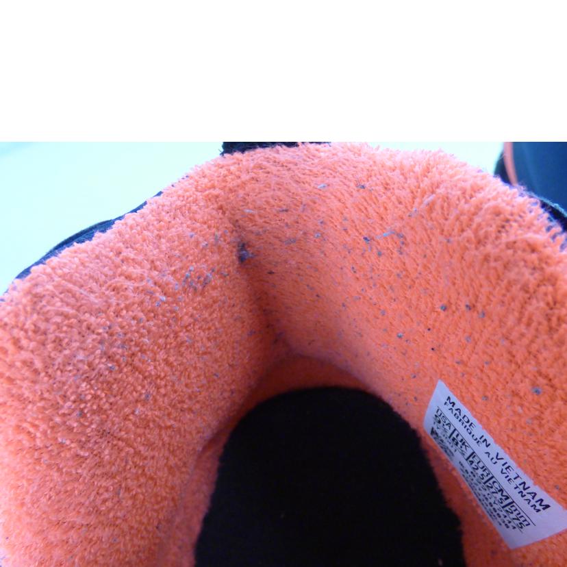 Reebok リーボック/Reebok INSTAPUMP FURY95/GY2444//Bランク/64