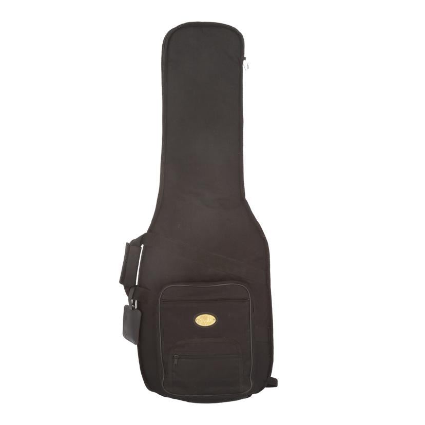 Fender Mexico フェンダーメキシコ/エレキギター/Standard STRATOCASTER//MN9331528/Bランク/77