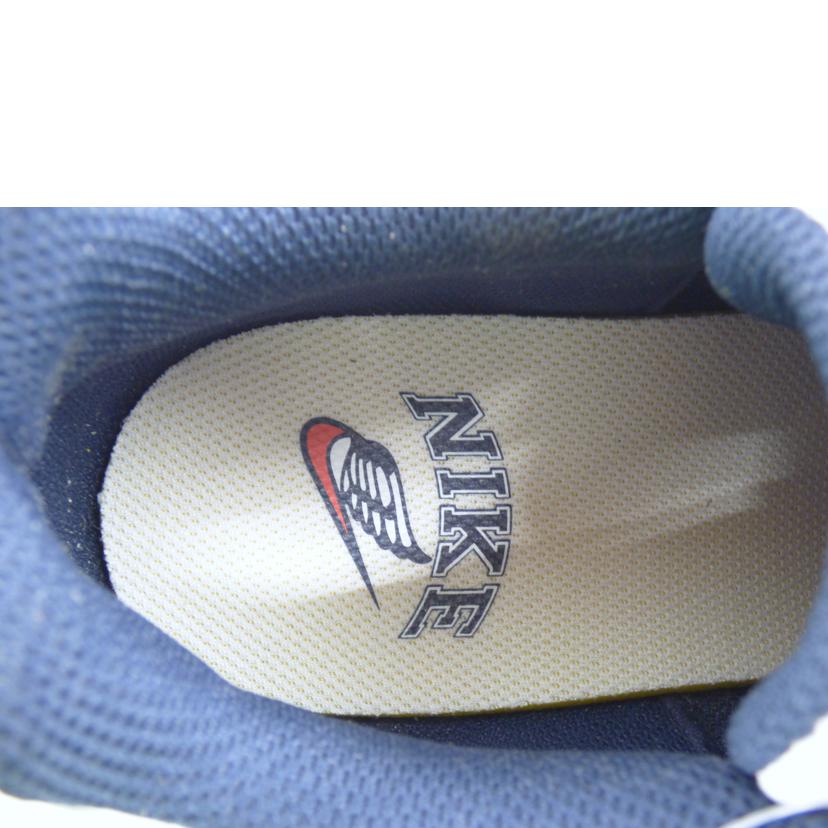 NIKE ナイキ/NIKE エアマックスAP/CU4826-014//Aランク/64