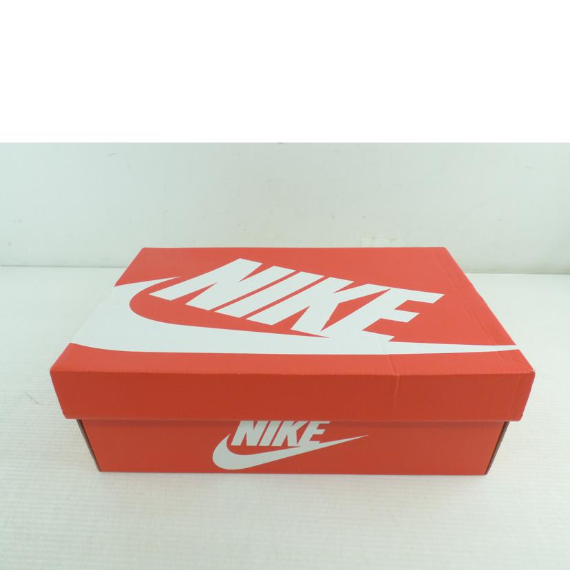 NIKE ナイキ/NIKE エアマックスAP/CU4826-014//Aランク/64