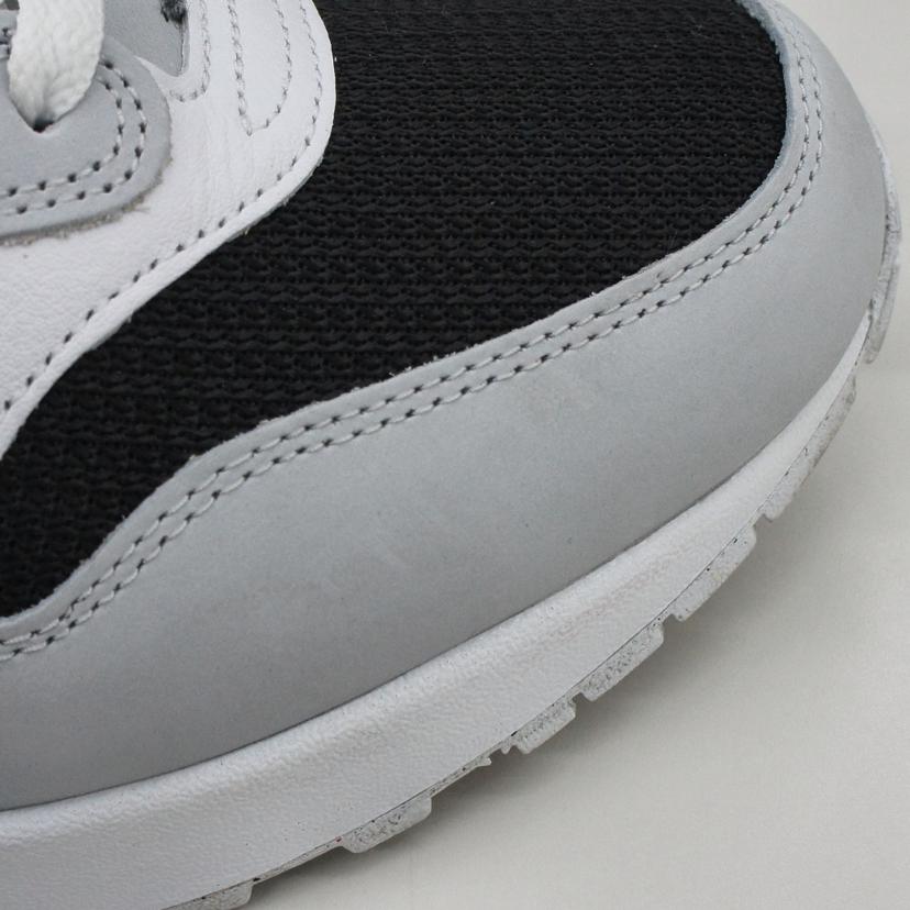 NIKE ナイキ/NIKE AIR MAX 1PRM/FD9081-001//Aランク/75
