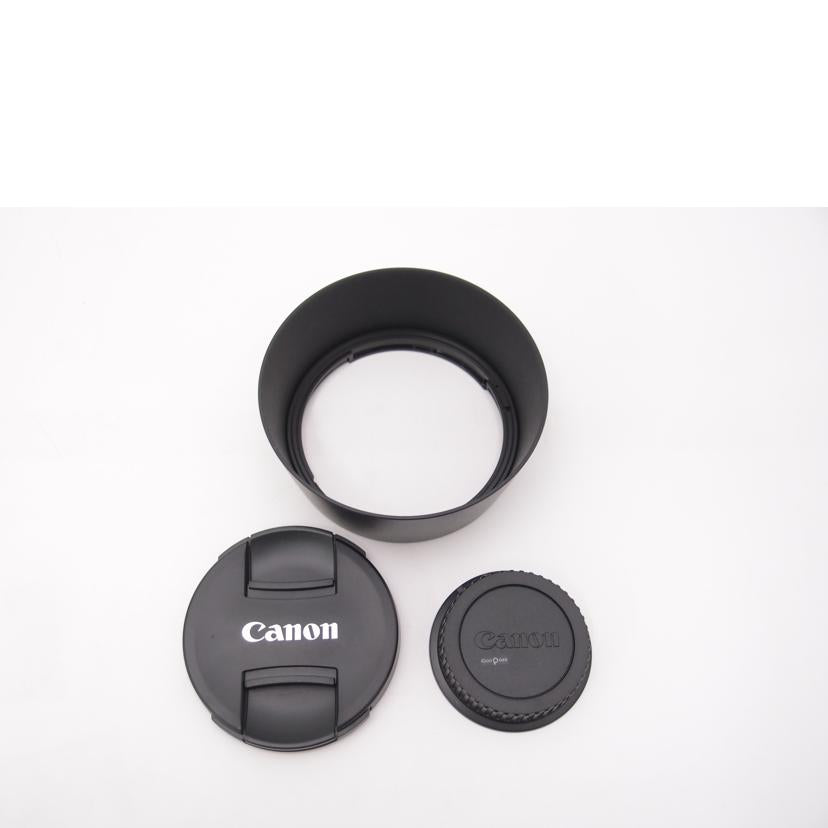 Canon キャノン/望遠アオリレンズ/TS-E135mm F4L MACRO//7510000040/Aランク/69