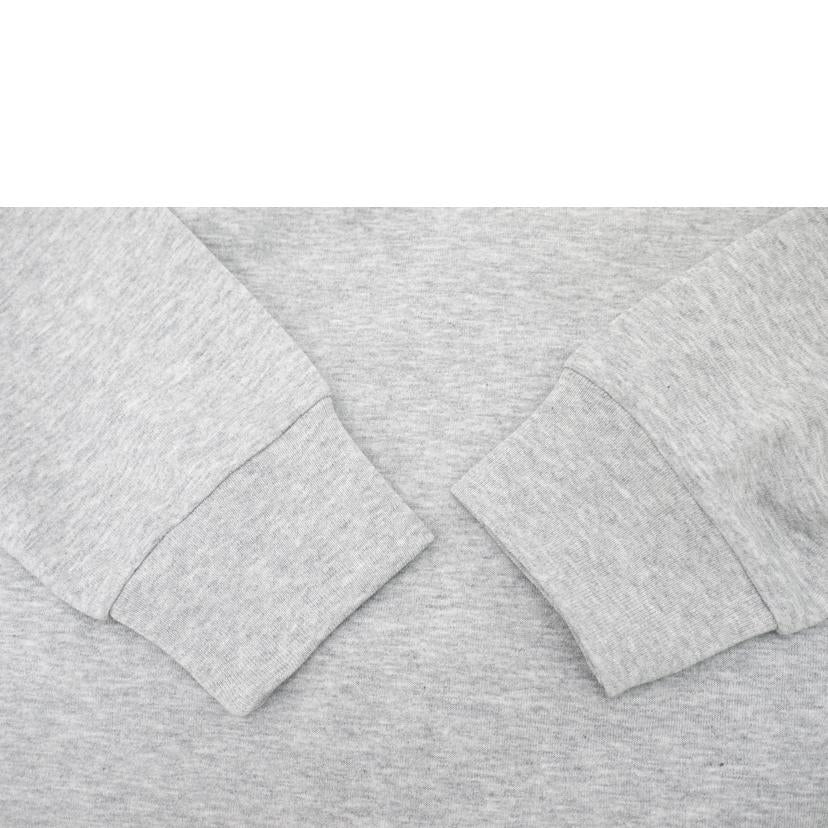 THE NORTH FACE ノースフェイス/THE NORTH FACE ロンT/NT32441//SAランク/69