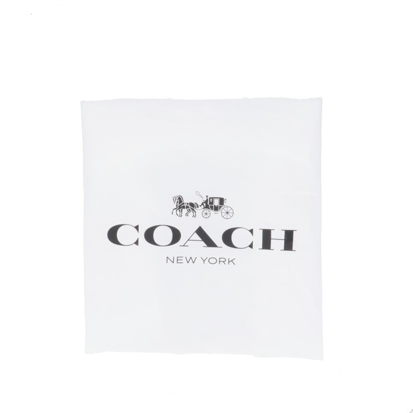 COACH コーチ/イーサンパック シグネチャーキャンバス/CO910//M24**/ABランク/09