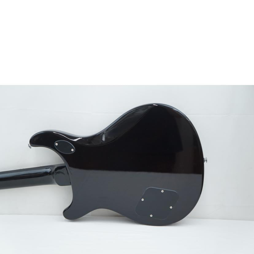 PRS ポールリードスミス/エレキギター/SE McCARTY 594 //G0028570/ABランク/67