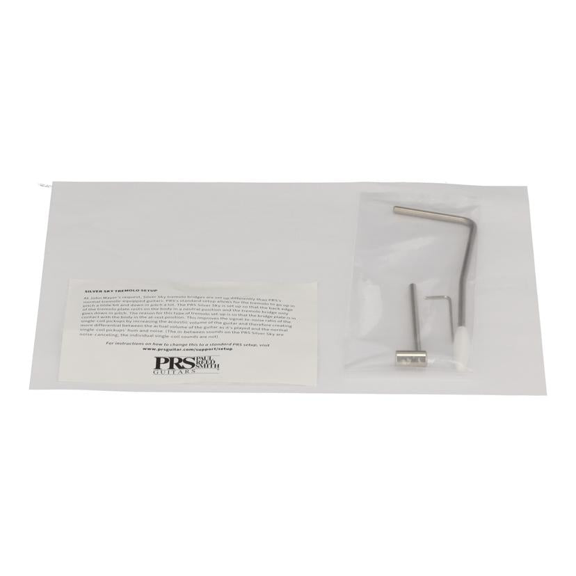 PRS ポールリードスミス/エレキギター/SE Silver Sky //E48465/Aランク/84